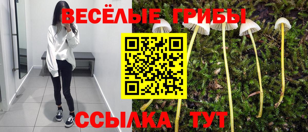 Галлюциногенные грибы GOLDEN TEACHER Заволжье