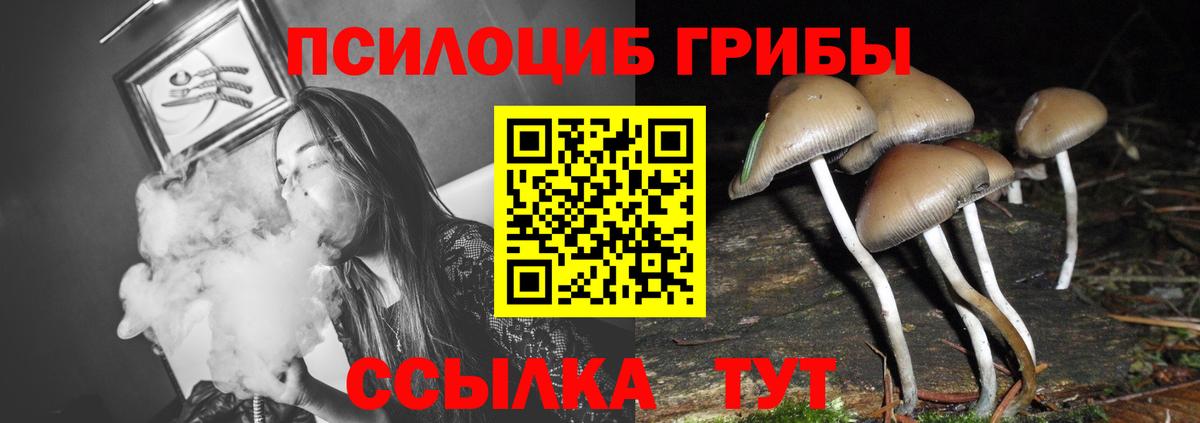 Псилоцибиновые грибы GOLDEN TEACHER  где купить наркоту  Заволжье  Вход с VPN  Псилоцибиновые грибы мухоморы 